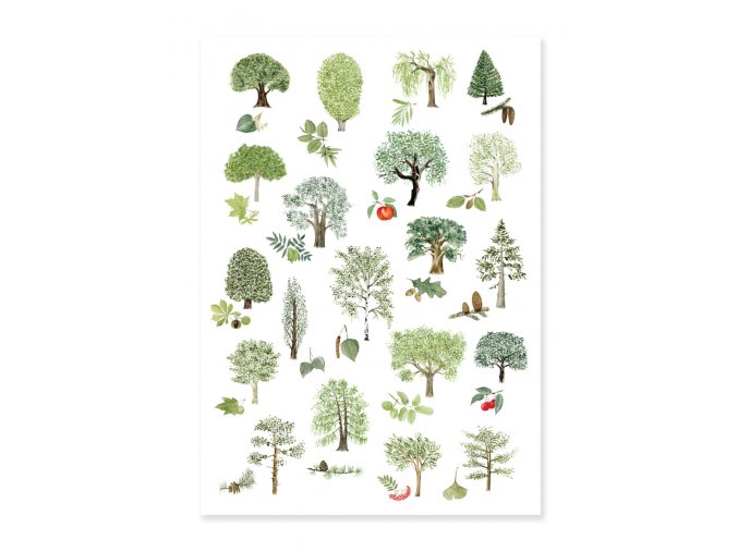 pohlednice stromy
