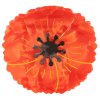 coucou suzette flower hair clip floral poppy hair claw cute fun red poppies accessories barrette coquelicot rouge pince cheveux coquelicots pavot web