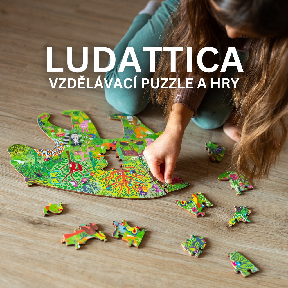 Ludattica