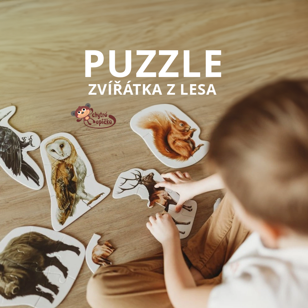 Zvířátka z lesa