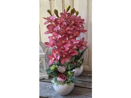 Kétágú orchidea fehér kaspóban 1
