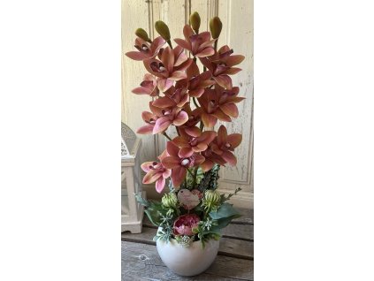 Kétágú orchidea fehér kaspóban 3