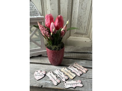 Pink tulik kaspóban