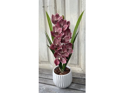 Orchideás kaspó 6
