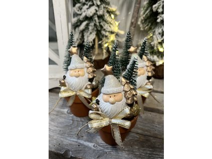 Mikulás kis cserépben fehér