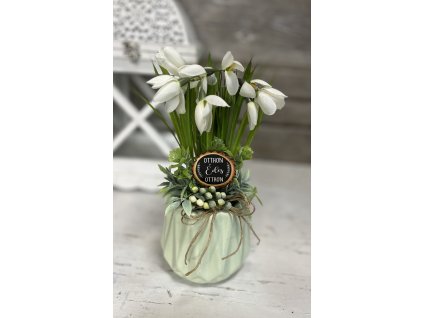 Hóvirágos menta kaspó