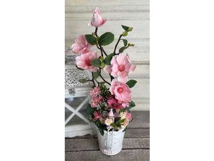 Magnólia rózsaszín tündérrel