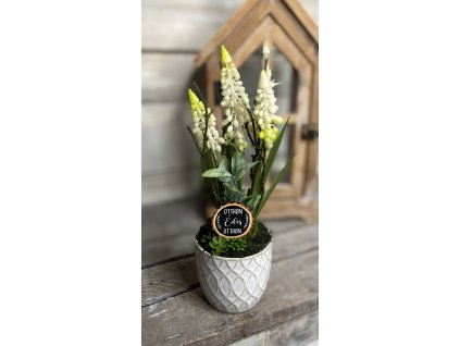 Fehér gyöngyikés kaspó