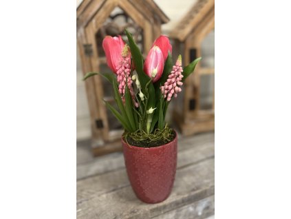 Pink kaspó tulikkal