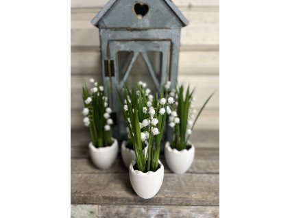 Gyöngyvirág kaspóban