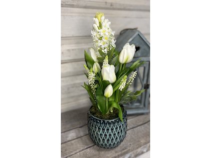 Jácint tulival kék kaspóban