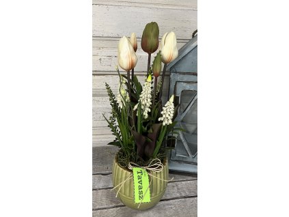 Extra tulis kaspó 1