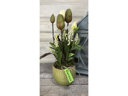 Extra tulis kaspó 2