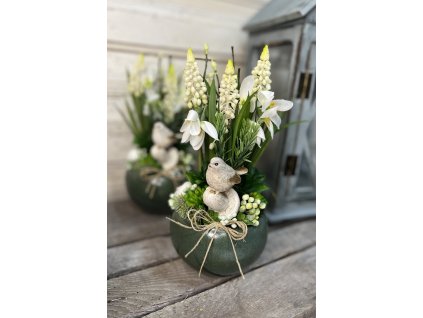 Madárka gombán kaspóban