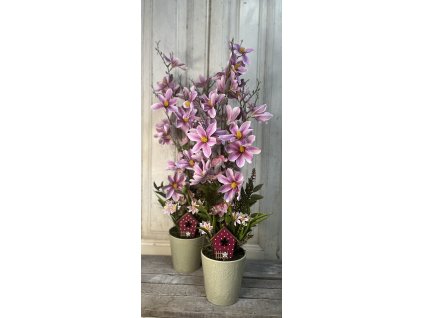 Rózsaszín magnólia kaspóban 3