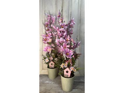 Rózsaszín magnólia kaspóban 4