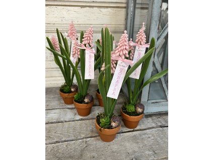 Sünös nőnapi meglepi