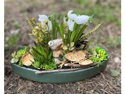 Zöld lapos csónak 4