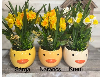 Csibekaspó nárcisszal