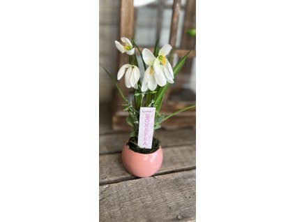 Hóvirágos nőnapi kaspó