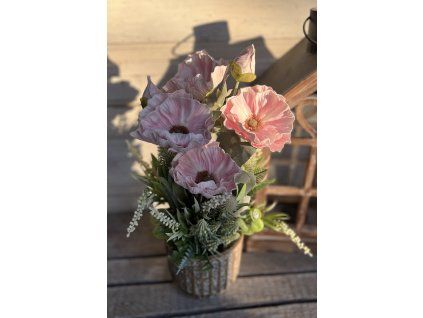 Pipacs drapp kaspóban 2