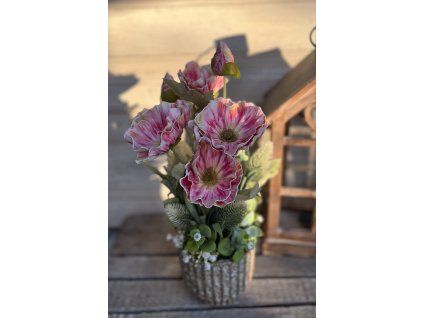 Pipacs drapp kaspóban 3