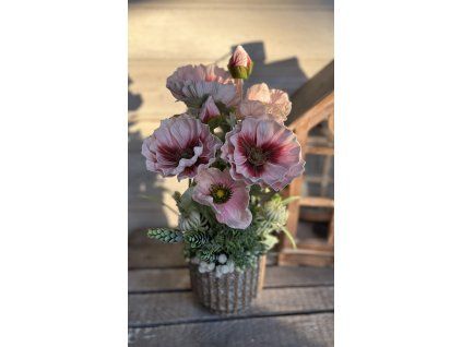 Pipacs drapp kaspóban 4