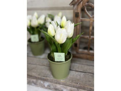 Tuli bádogban fehér