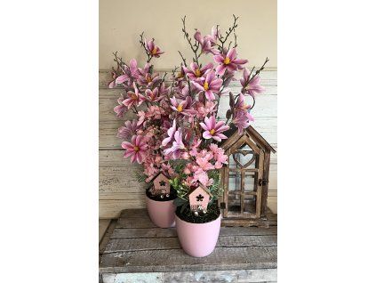 Magnólia rózsaszín kaspóban 1