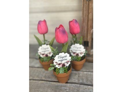 Anyák napi pink tulis cserép