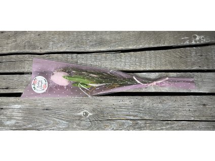 Nőnapi szálas tulipán rózsaszín