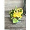Hawaii kaspó