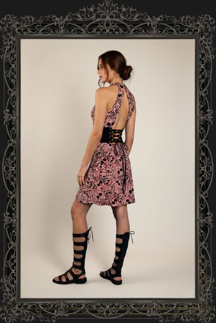 downloaded file (19)