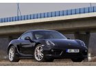 MODEL CAYMAN(981) - 5x130 (od 2013.02)