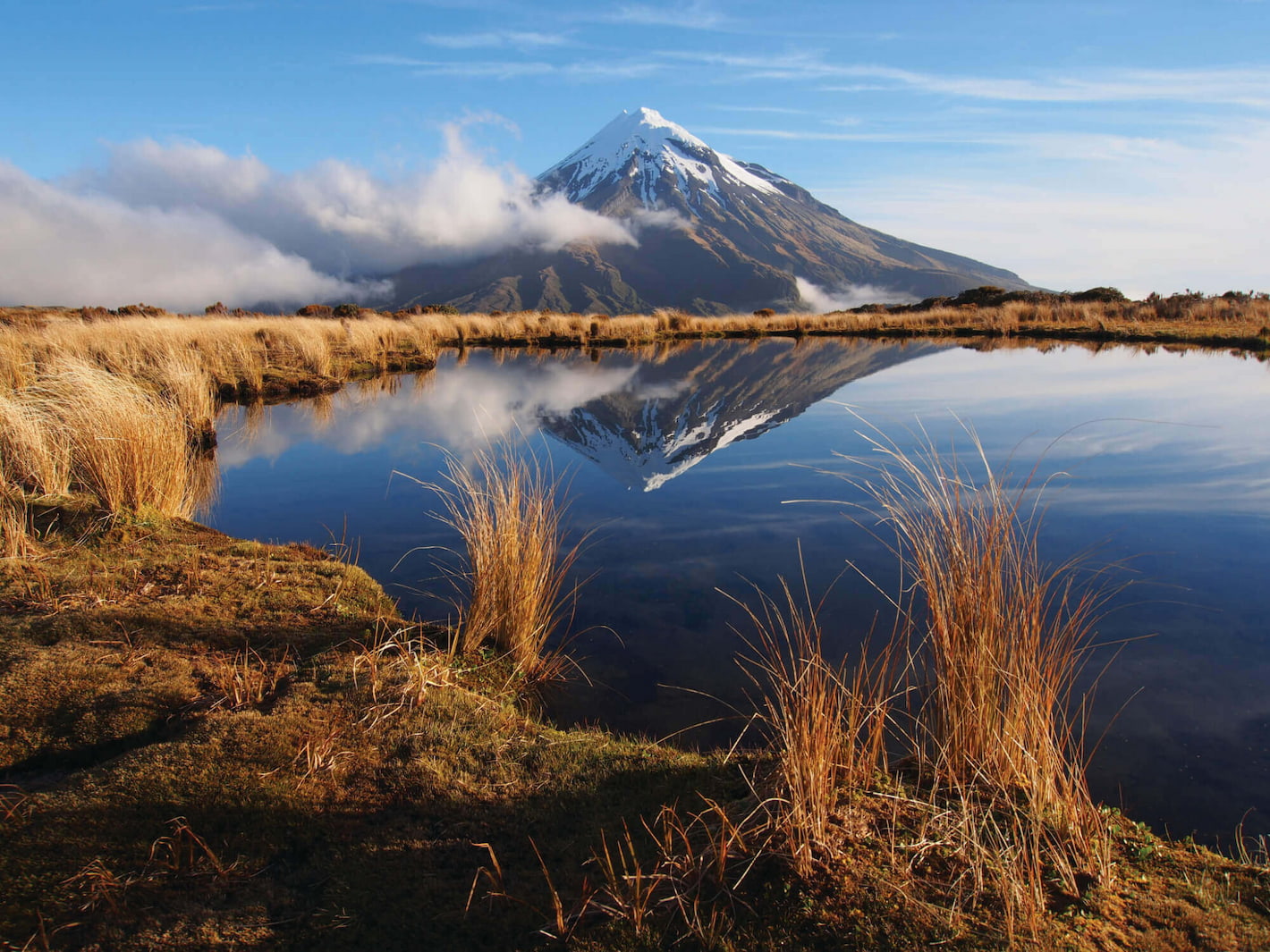 hora-Taranaki-manuka-med