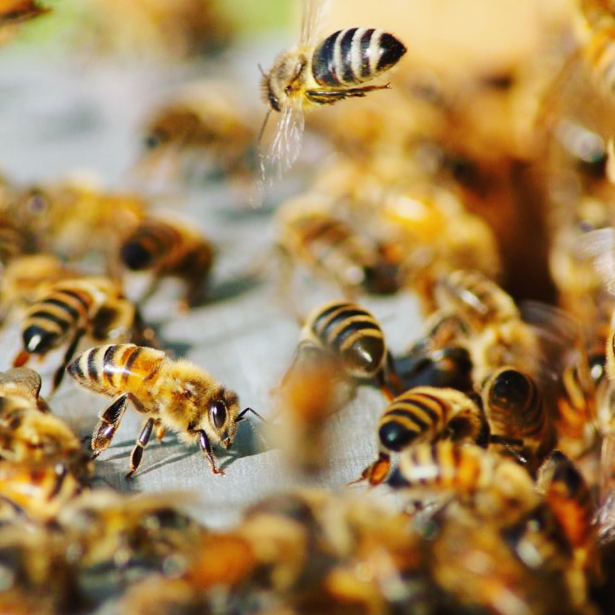 Máme nový leták se zajímavými informacemi