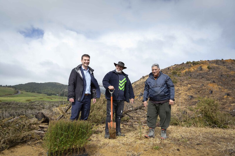 Cena manuka medu- prečo je taký drahý?