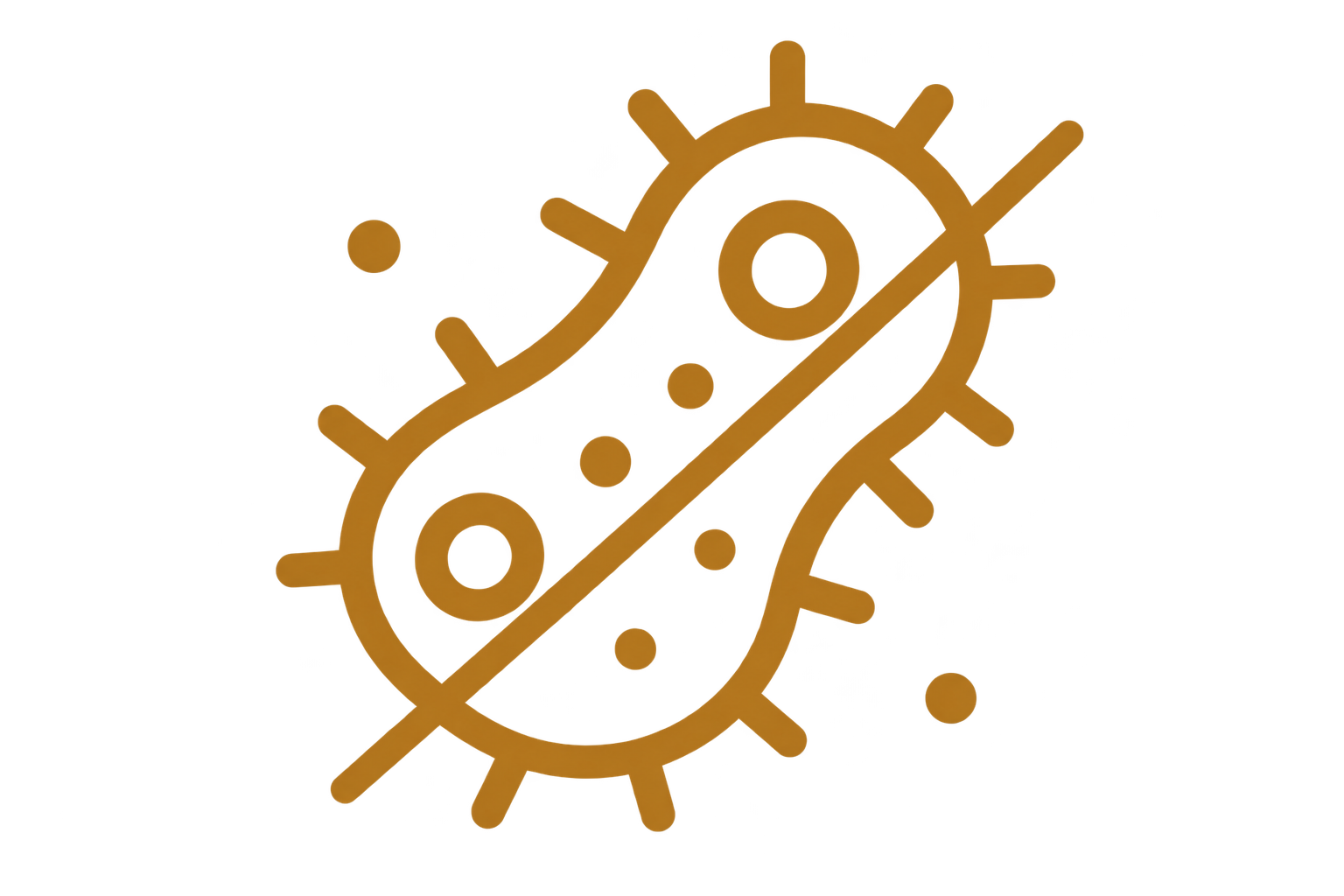 bakteria