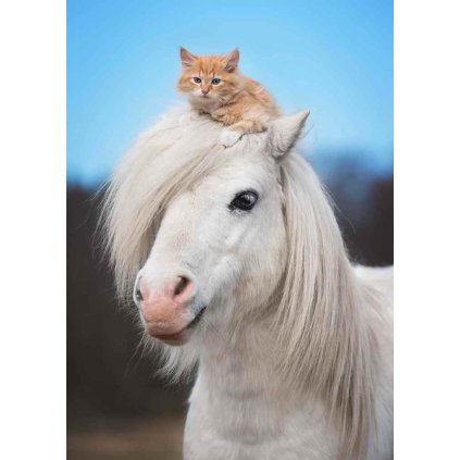 MPF21 PONY & KITTY