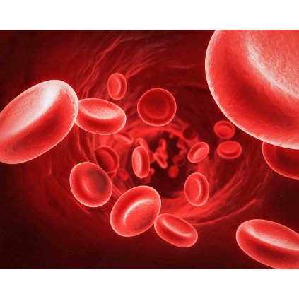 MCD06 BLOOD CELL