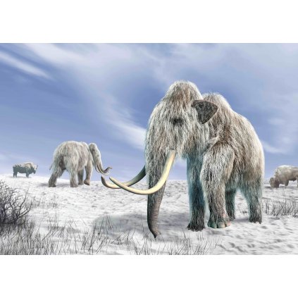 MCN26 MAMMOTHS