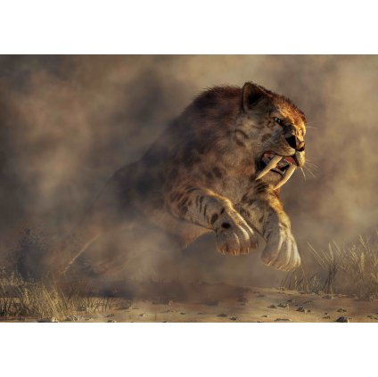 MCN27 SMILODON