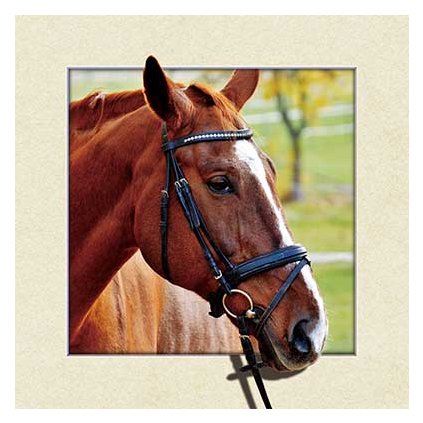 MC573 BROWN HORSE