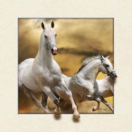 MC508 WHITE HORSES