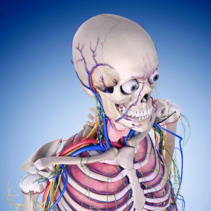 MCG69 MAGNETIC BODY