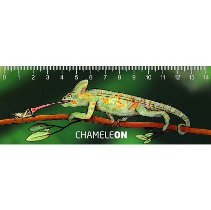 MC941 CHAMELE ON