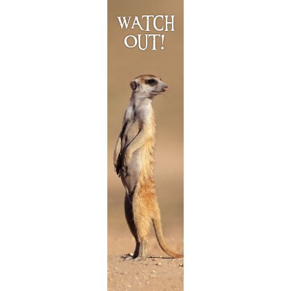 MPS62 WATCH OUT!