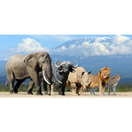 MCZ70 THE BIG FIVE PS
