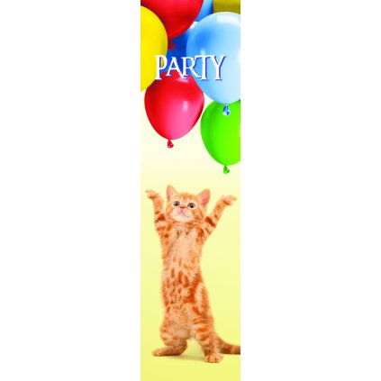 MPS64 PARTY