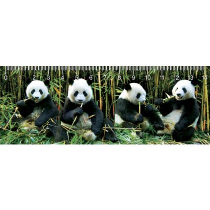 MC944 DEEP PANDAS